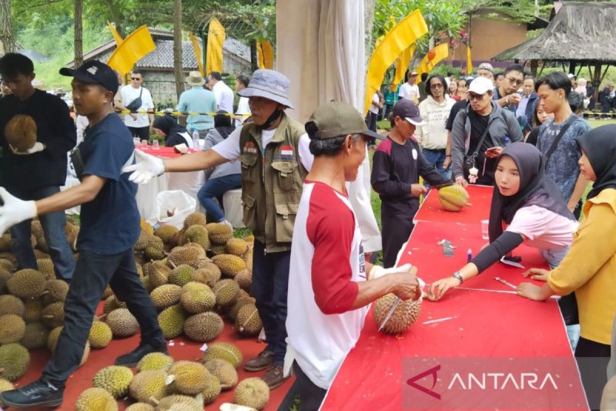 Pemkab Kuningan gelar Festival Durian sebagai ajang promosi wisata