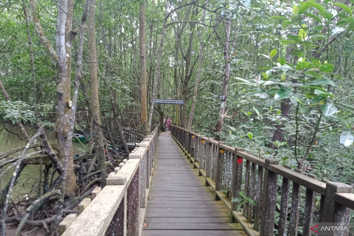Pemkab Penajam bersama KLHK benahi ekowisata hutan bakau