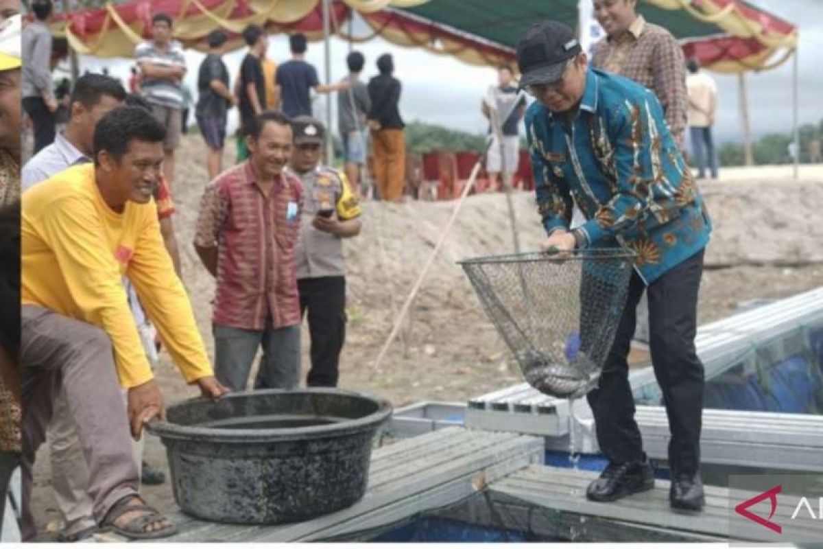 Bangka Tengah salurkan bantuan 5.000 benih ikan nila