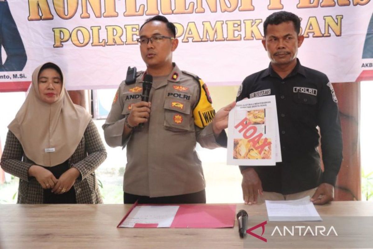 Polres Pamekasan: Kabar ulat bulu mematikan itu bohong