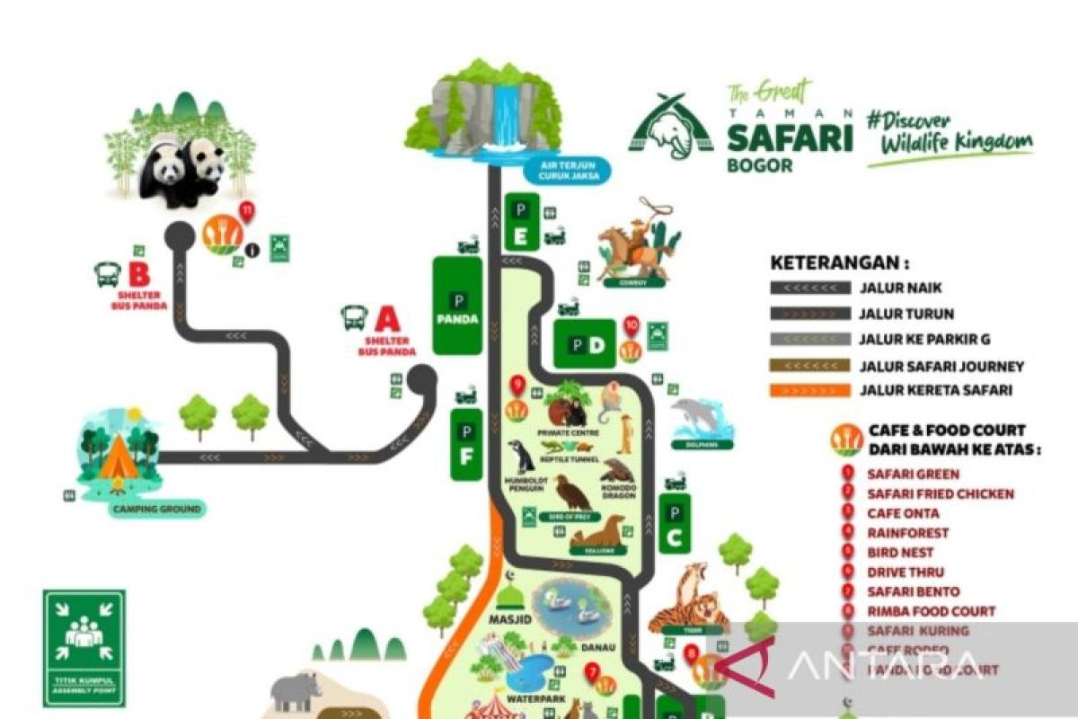 Taman Safari Indonesia Bogor ubah tampilan rute Safari Journey