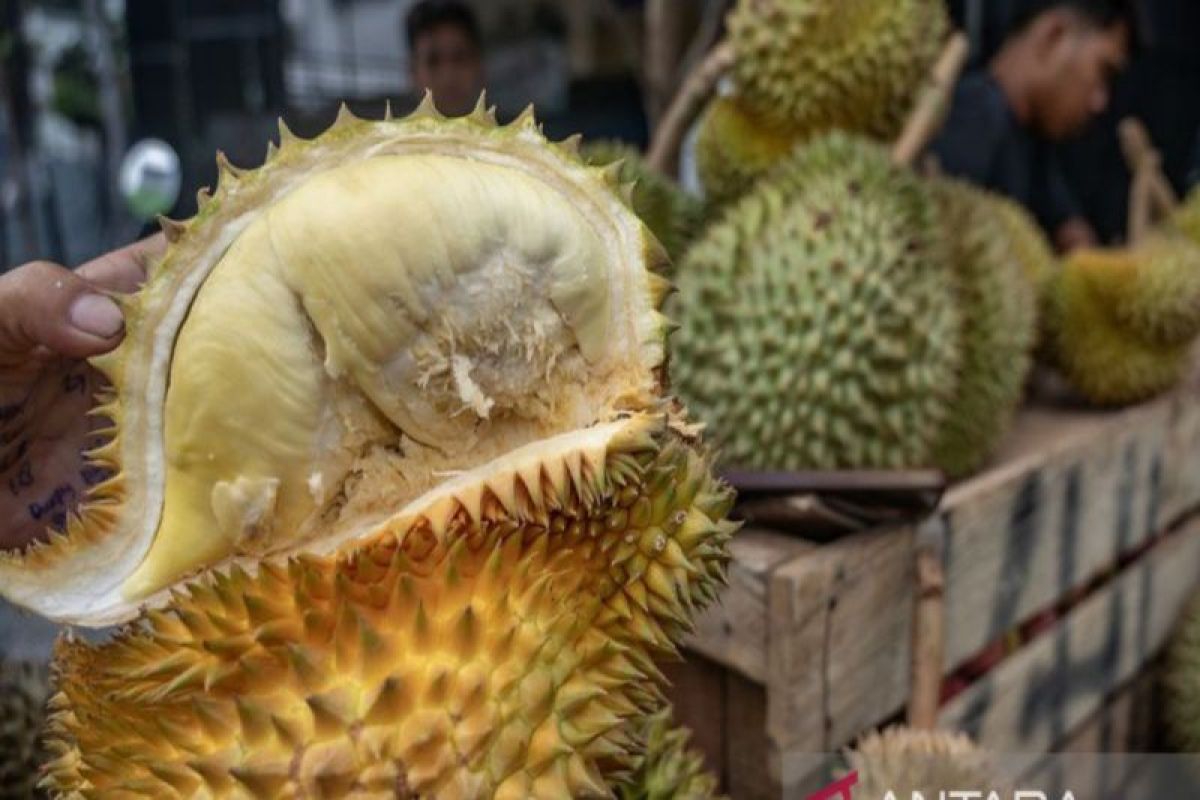 Ahli gizi ungkap soal mitos durian tinggi kolesterol