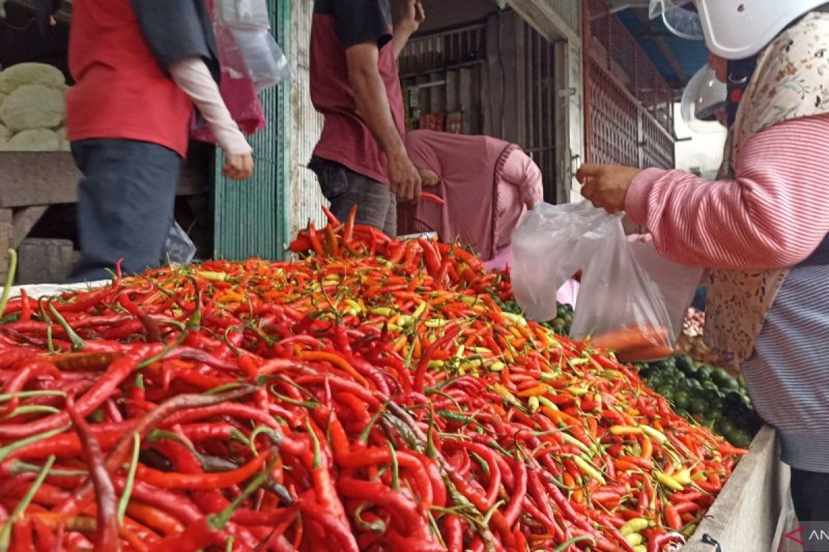 Harga cabai rawit di Kapuas Hulu naik menjadi Rp100 ribu per kilogram