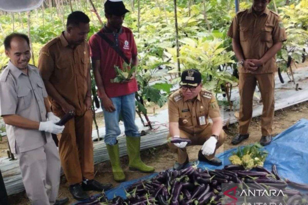 Tabalong terima bantuan pusat untuk pengembangan kampung hortikultura