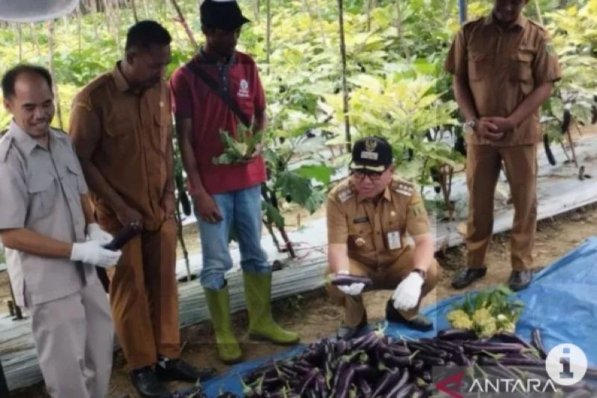 Tabalong terima bantuan pengembangan kampung hortikultura