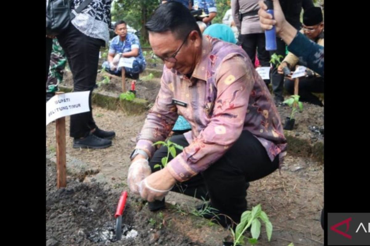 Pemkab Belitung Timur gencarkan program ketahanan pangan keluarga