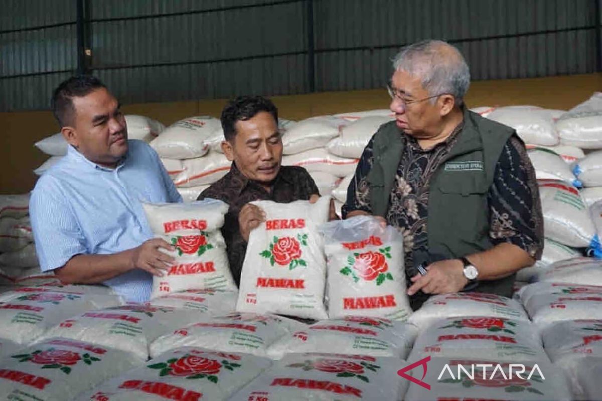 Bulog tinjau persiapan panen di Blora-Grobogan untuk pasokan pangan