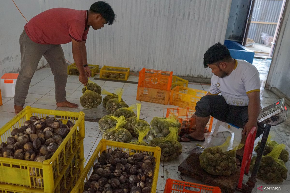 FOTO - Penerimaan bea cukai di Aceh alami peningkatan