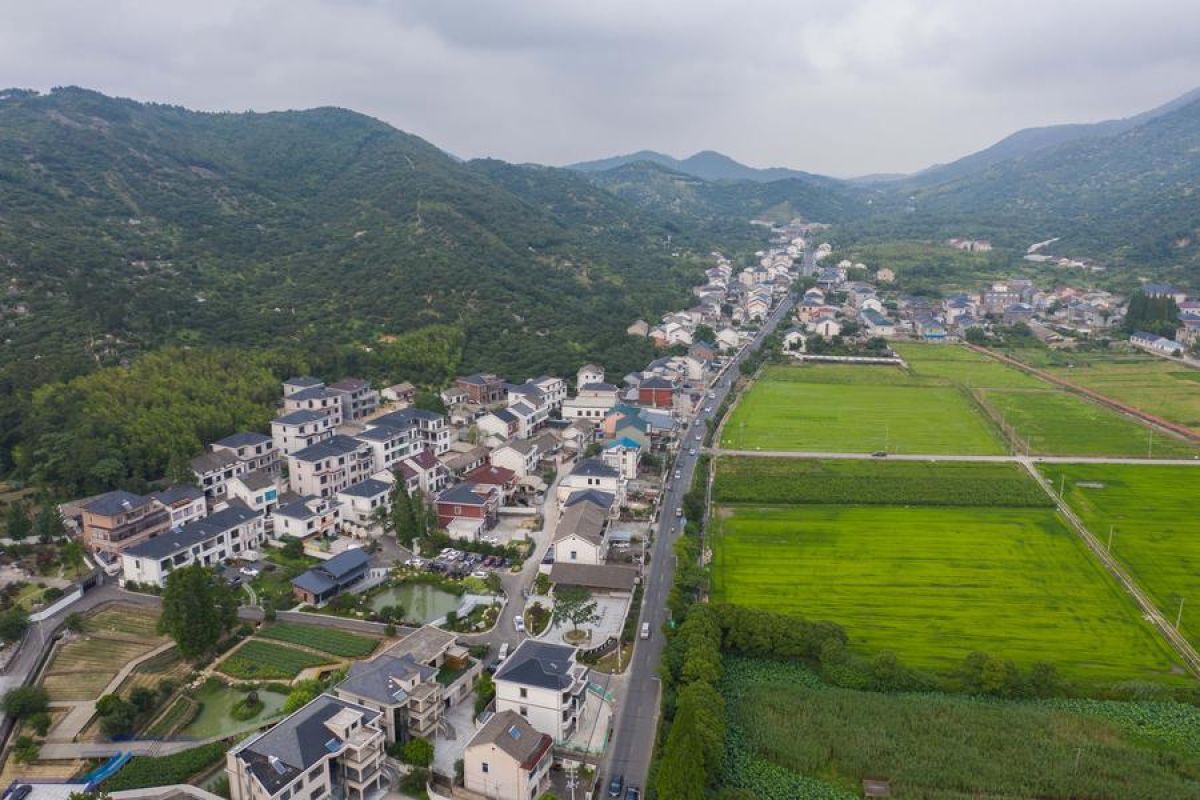 Bank pertanian China tingkatkan pendanaan untuk revitalisasi desa