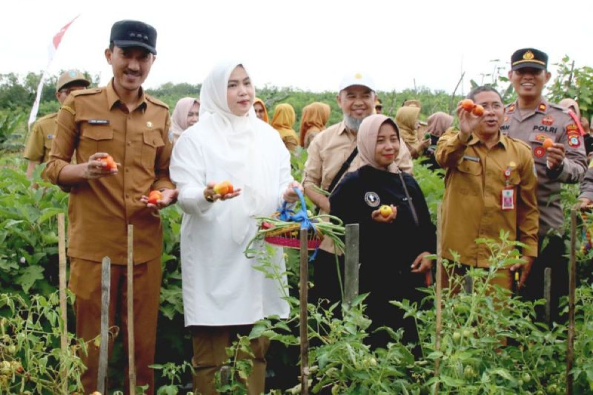 Bupati minta program P2L tingkatkan gizi keluarga cegah stunting