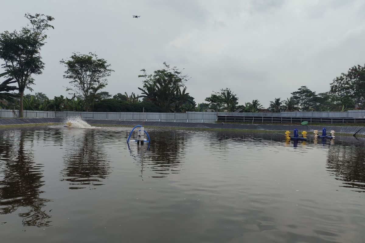 DKP Lampung: Bantuan 1,3 juta ekor benih ikan tersalurkan di 2023