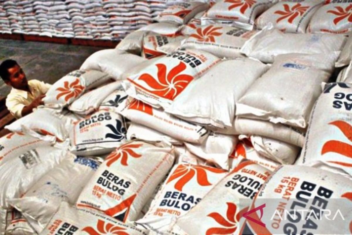 Disperindag  Buru Maluku intensif pantau pasar kendalikan harga beras