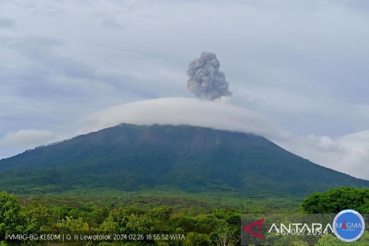 Gunung Ili Lewotolok erupsi lontarkan abu setinggi 1.000 meter