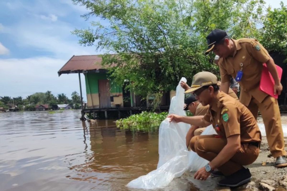 Tapin tebar 100 ribu ikan lokal di anak Sungai Barito untuk pelestarian