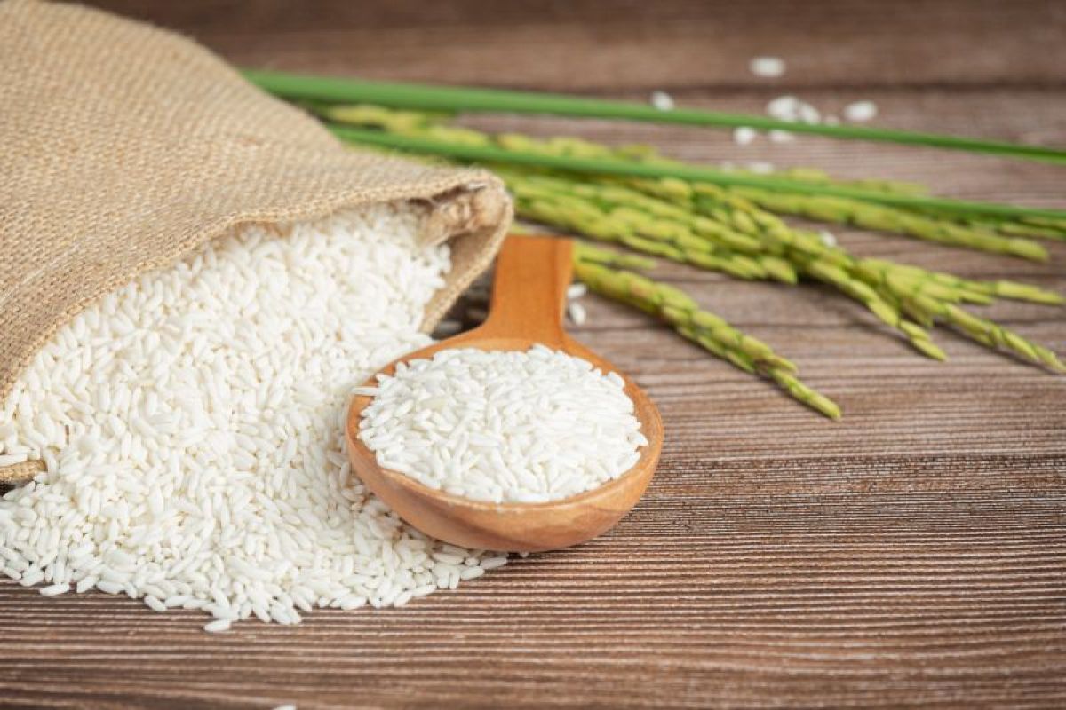 Mengapa beras putih ini di Indonesia begitu disenangi dan populer