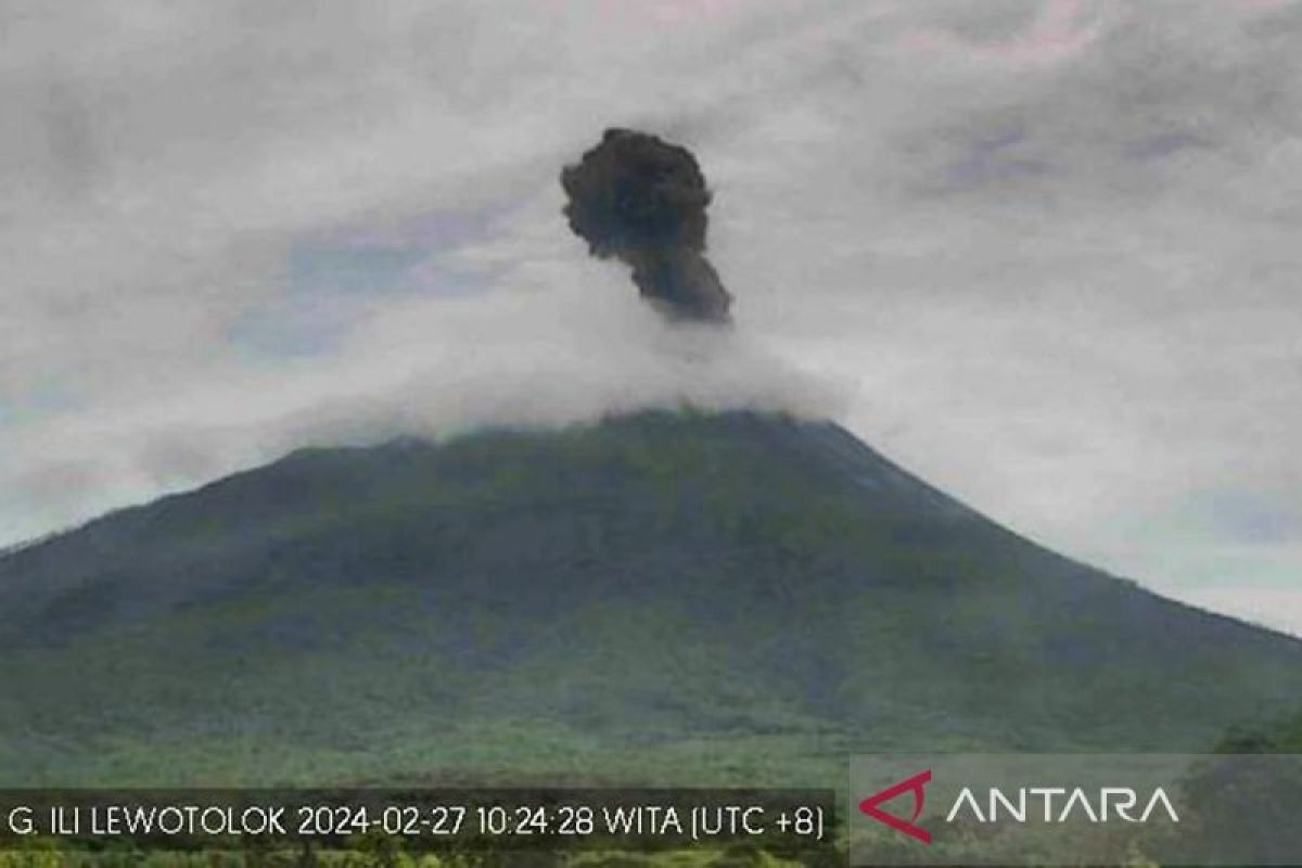 Gunung Ili Lewotolok muntahkan lava sejauh 2 kilometer