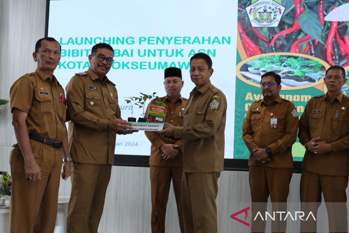 Lhokseumawe canangkan gerakan ASN tanam cabai, begini tujuannya