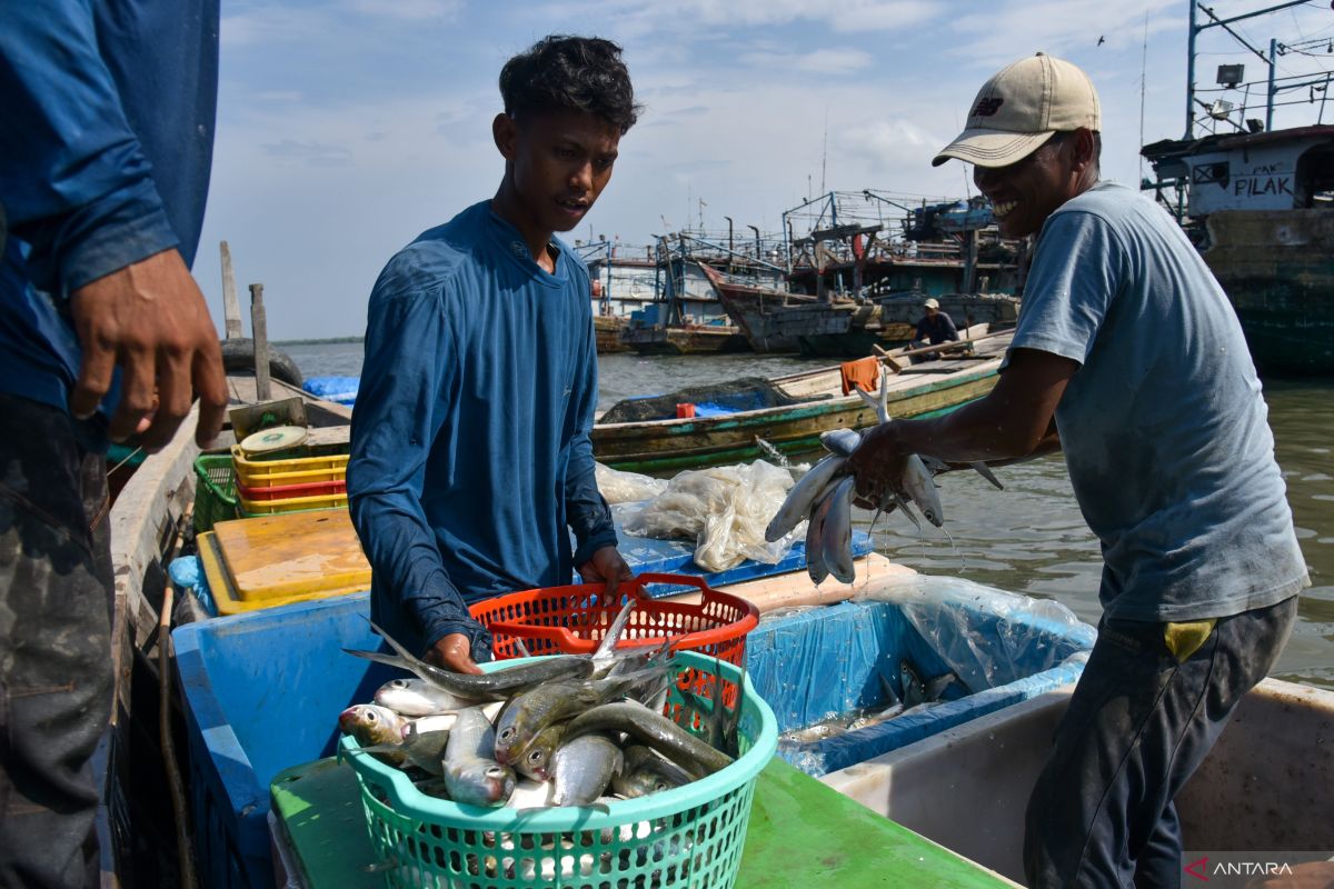 IGJ usulkan pemerintah ciptakan kondisi yang menguntungkan nelayan