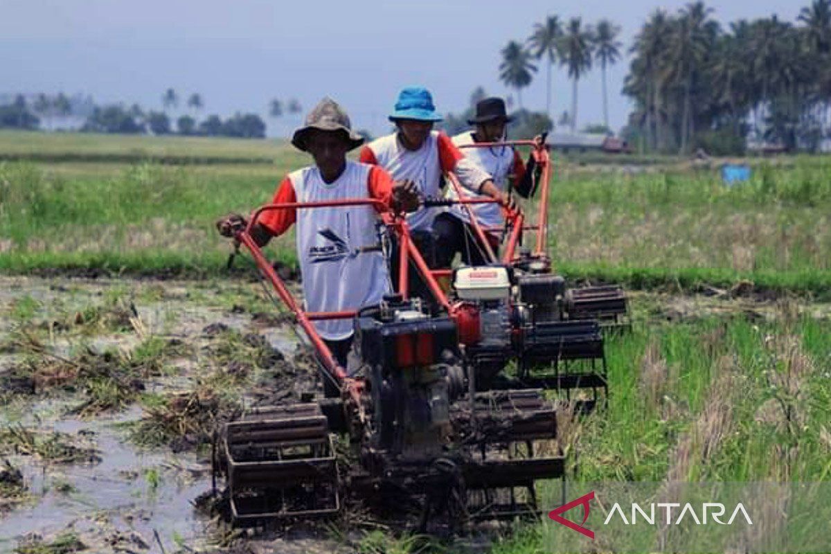 Program bajak sawah gratis Tanah Datar sasar 4.400 hektare pada 2024