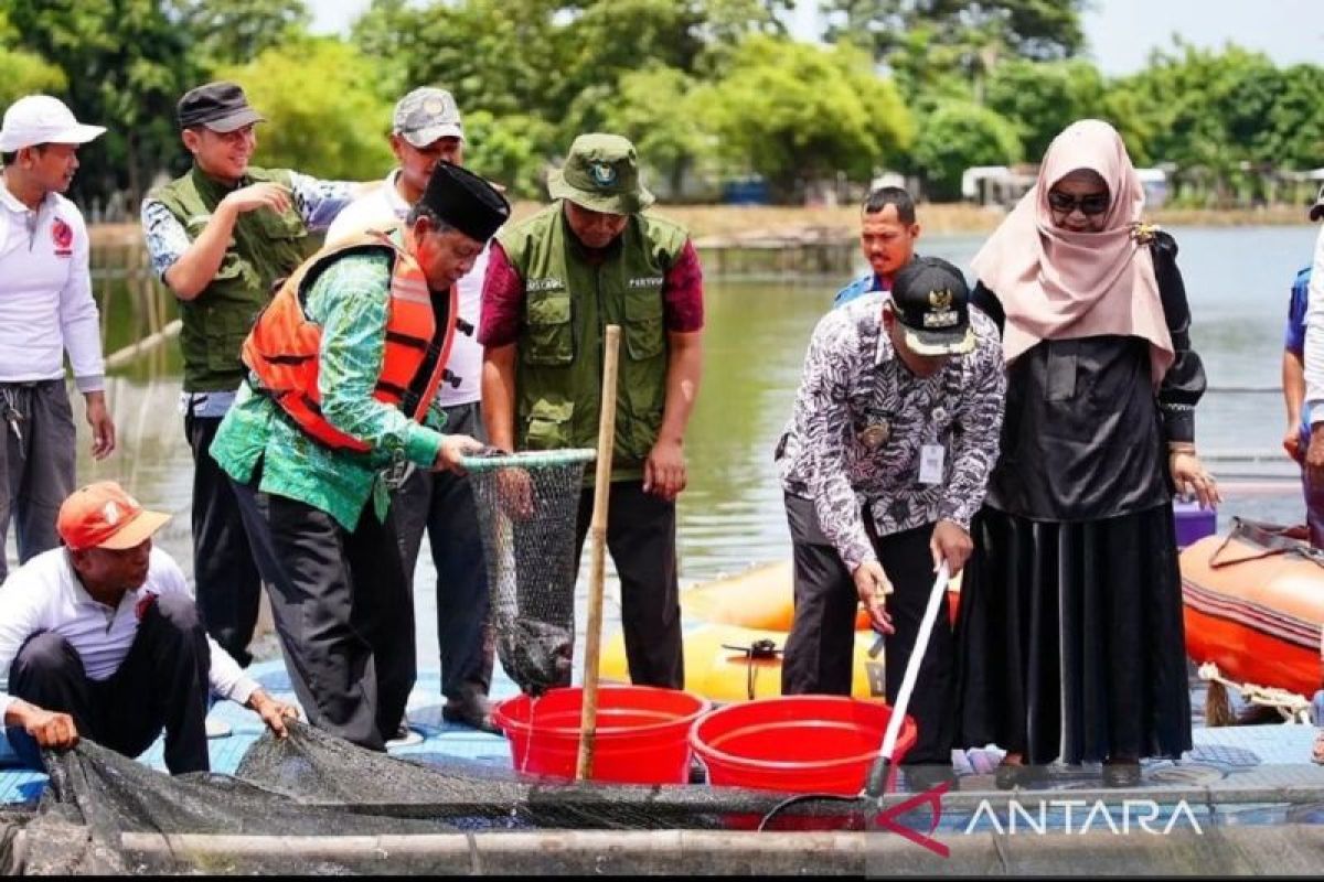 Selama 2023, produksi ikan Kota Tangerang capai 200.000 kilogram
