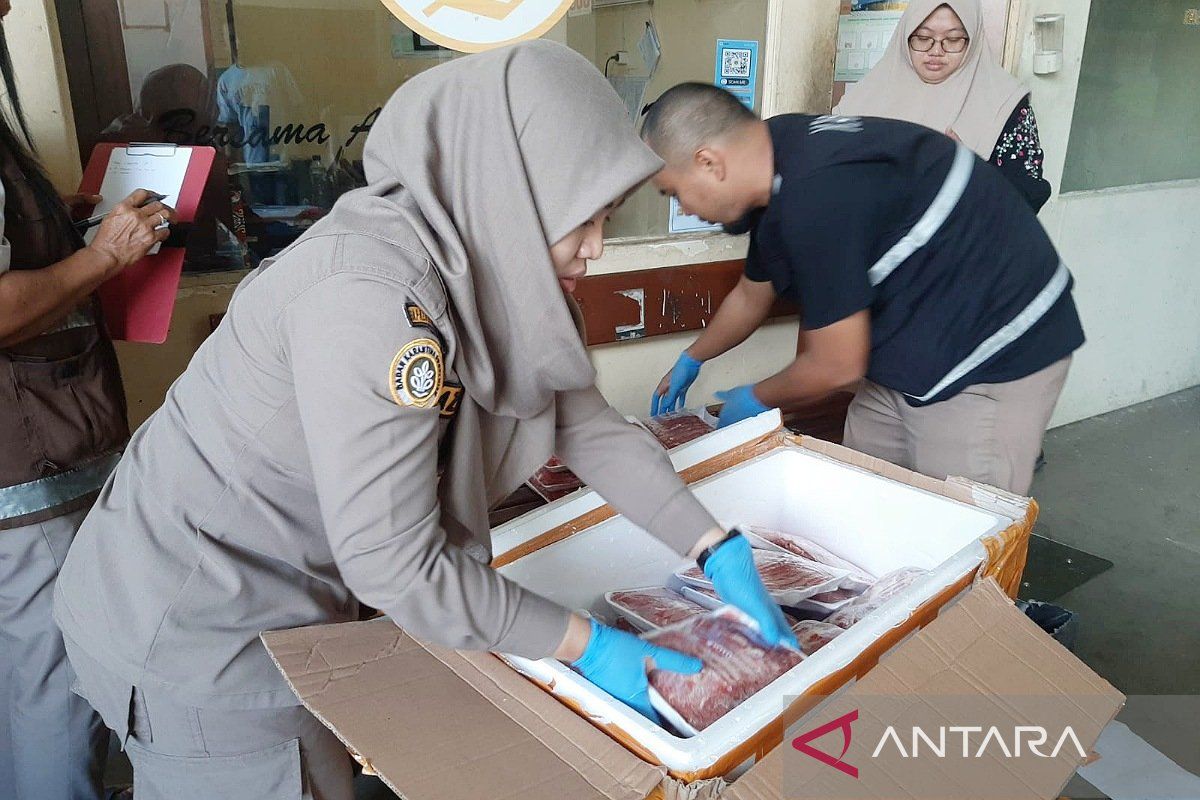 Karantina Papua Barat menyita daging sapi tanpa sertifikat kesehatan