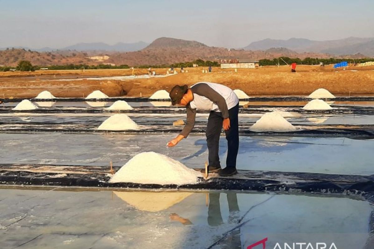 Produksi garam nasional 2023 melampaui target