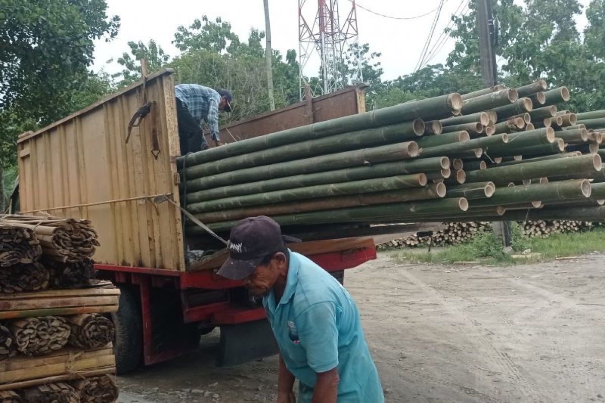 Komoditas bambu di Lebak kembali jadi andalan ekonomi petani