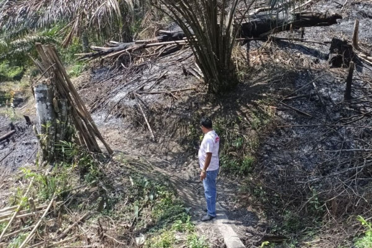 Kepolisian Simalungun gerak cepat antisipasi kebakaran lahan di hutan register