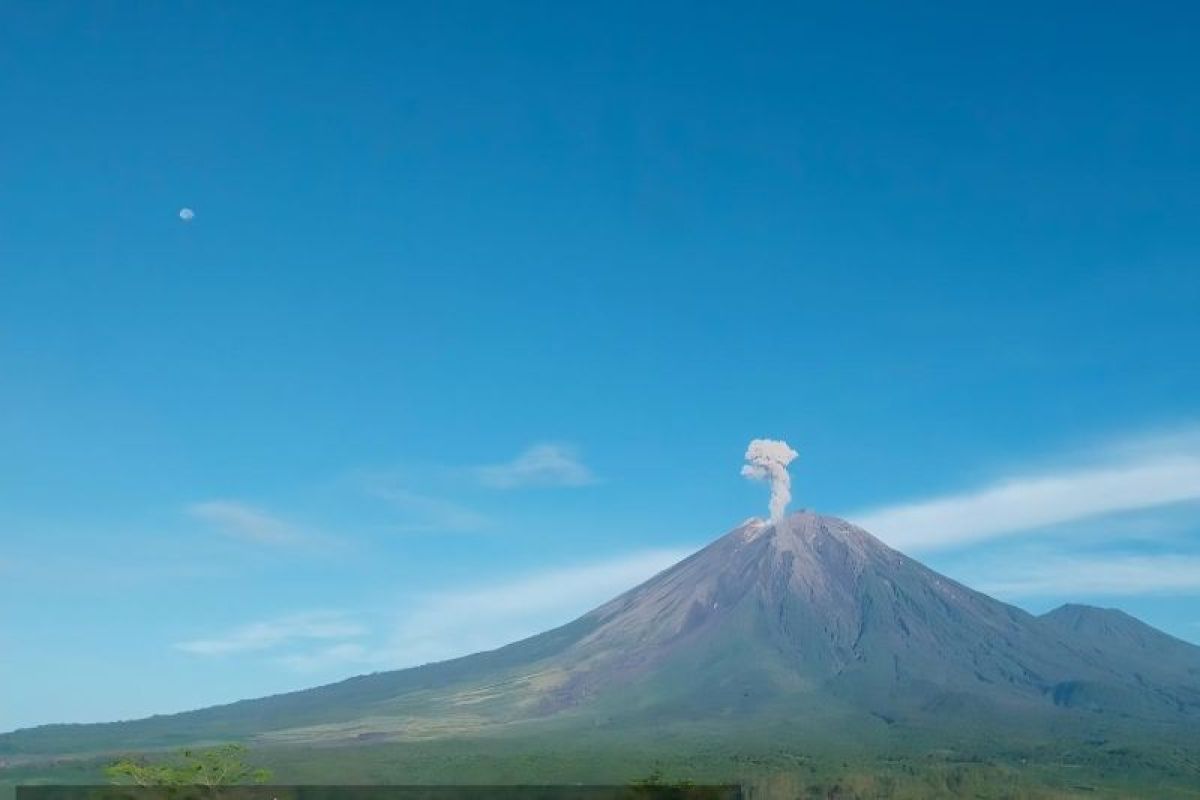 Gunung Semeru letuskan kolom abu setinggi 900 meter