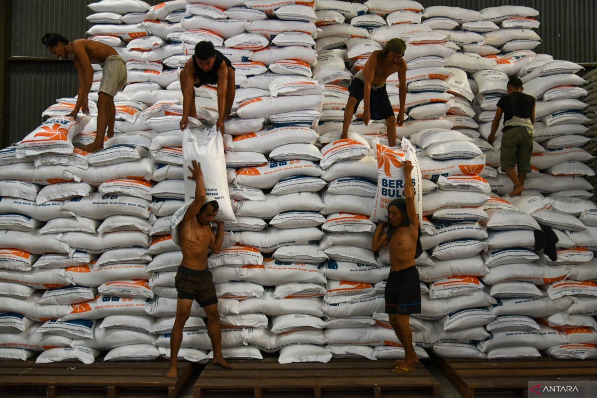 Bulog says 300,000 tons of rice to arrive from Thailand, Pakistan