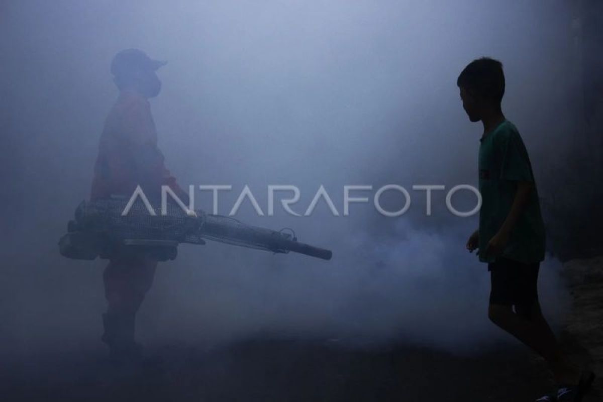 Dokter minta warga bersihkan rumah antisipasi puncak DBD pada April