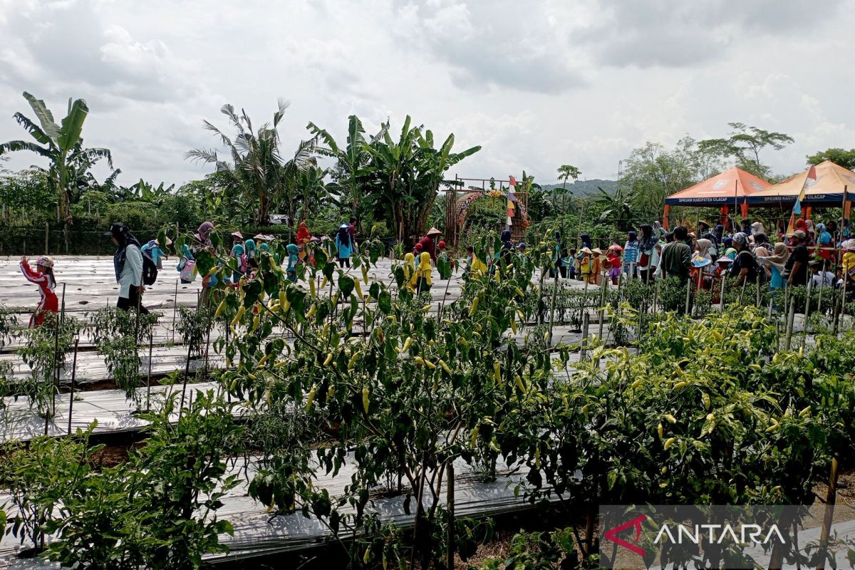 Warga Karangrena Cilacap dan Pertamina bangun destinasi wisata edukasi