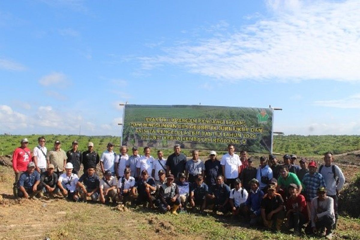 PTPN IV Regional V gelar In House Training Tanaman Ulang dan Pemancangan