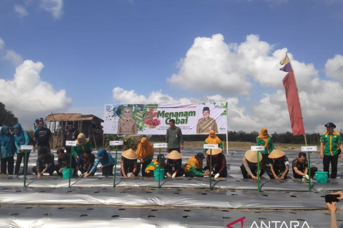 Pemkot Jambi siapkan subsidi harga bahan pokok