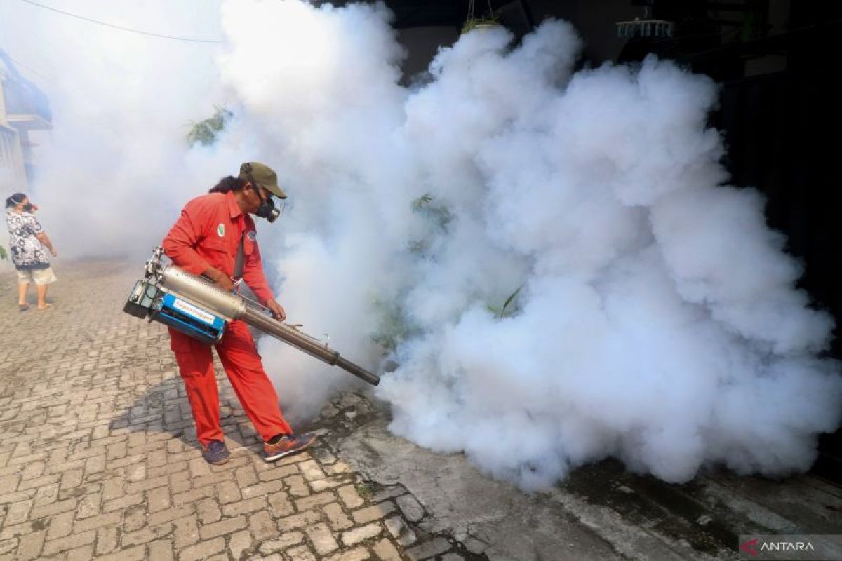 Expert recommends PAHO's dengue measures