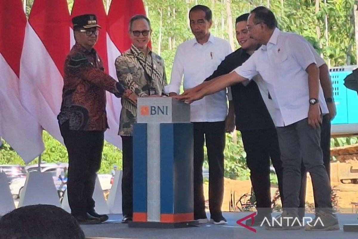 Jokowi bayangkan konser-konser besar kelak bisa diadakan di IKN
