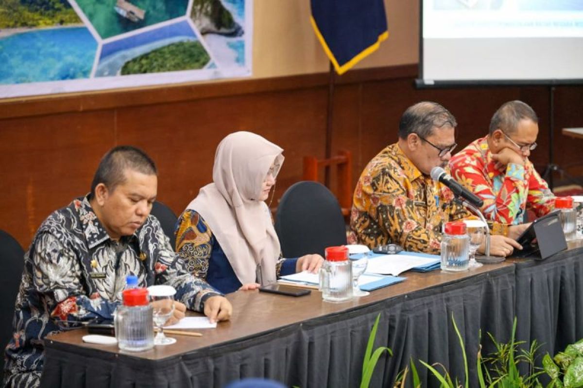 BNPP beri perhatian serius keamanan perbatasan di Kepulauan Riau