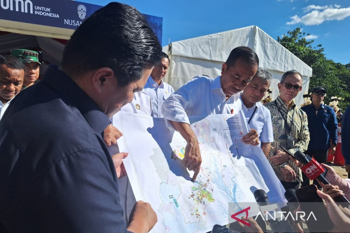 Presiden Jokowi: Pembangunan di IKN barat sudah padat, investor pun antre