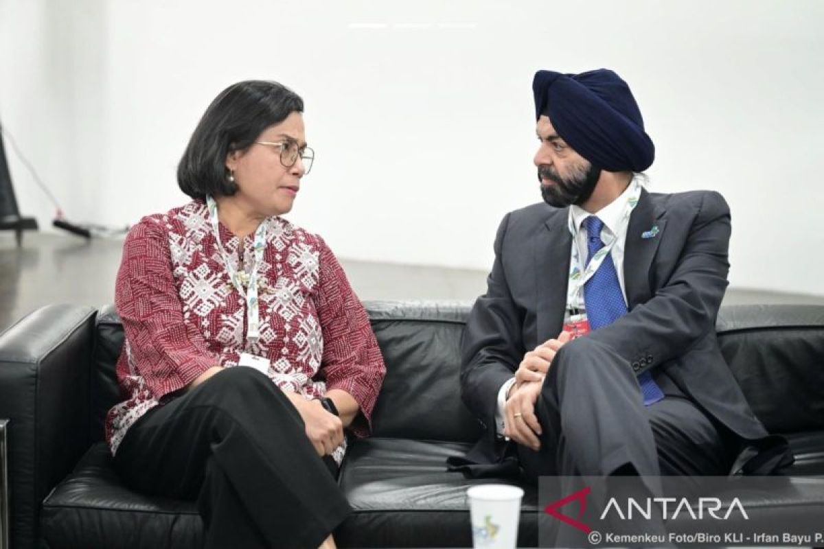 Sri Mulyani discusses G20 JFHTF Initiative with EU commissioner