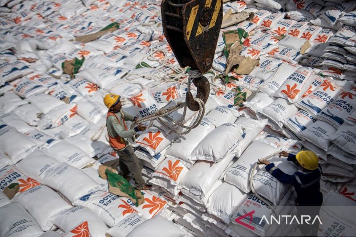 Bulog: Ada tambahan 300 ribu ton beras dari Thailand dan Pakistan