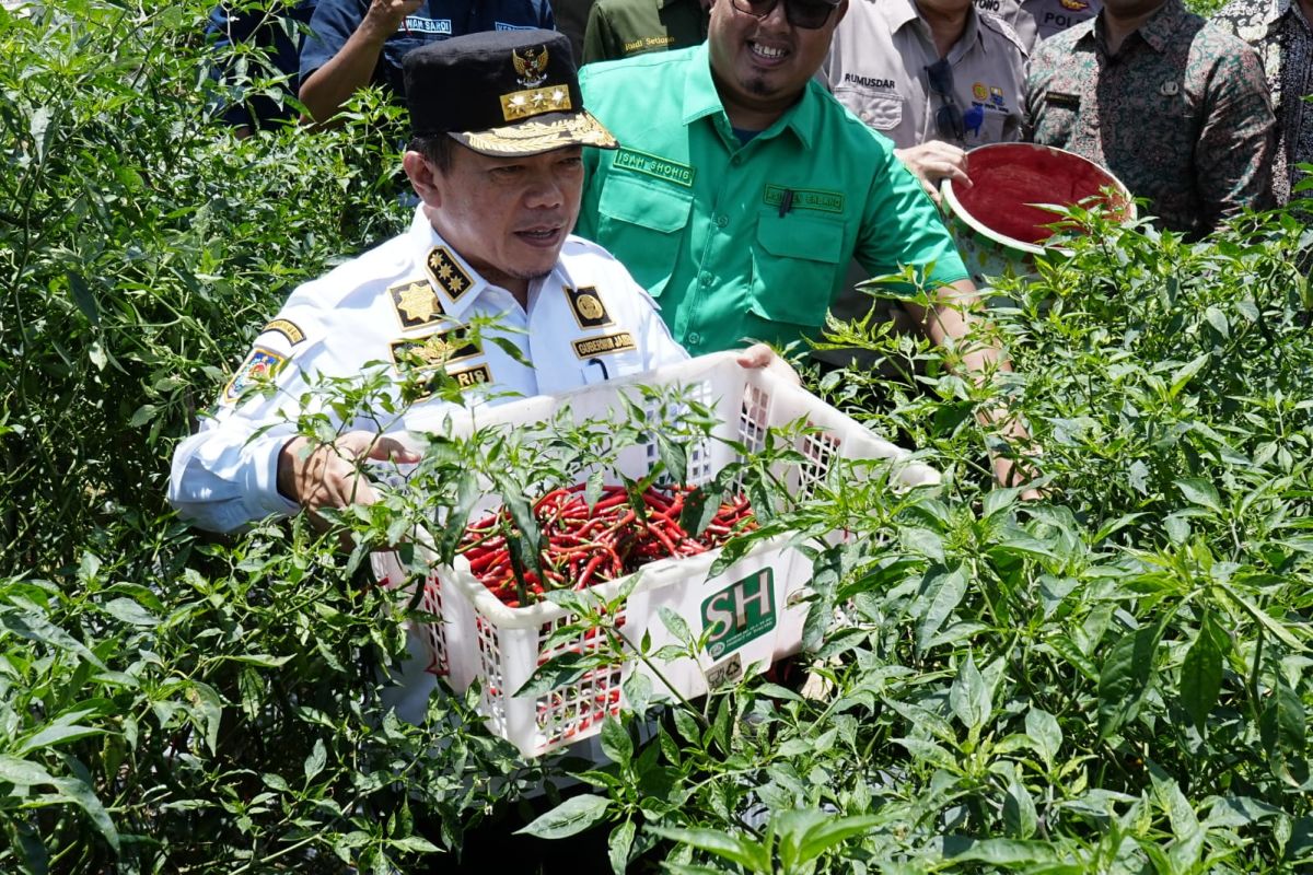 Jambi masih konsumsi beras asal Sumatera Selatan