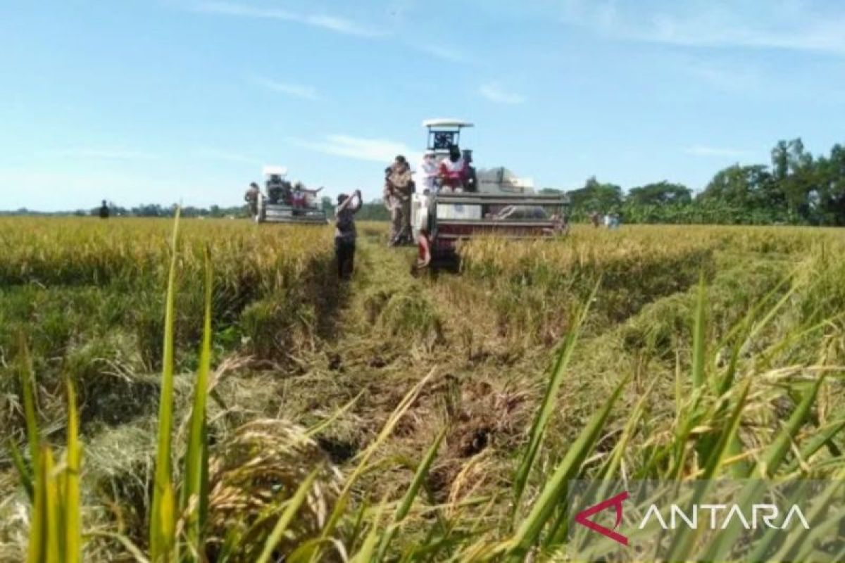 Pupuk Kujang ikut tingkatkan produksi padi dan stok beras nasional melalui Program Makmur