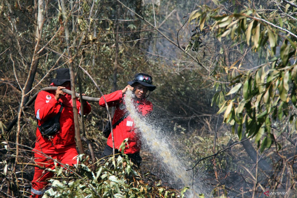 Riau status siaga darurat karhutla
