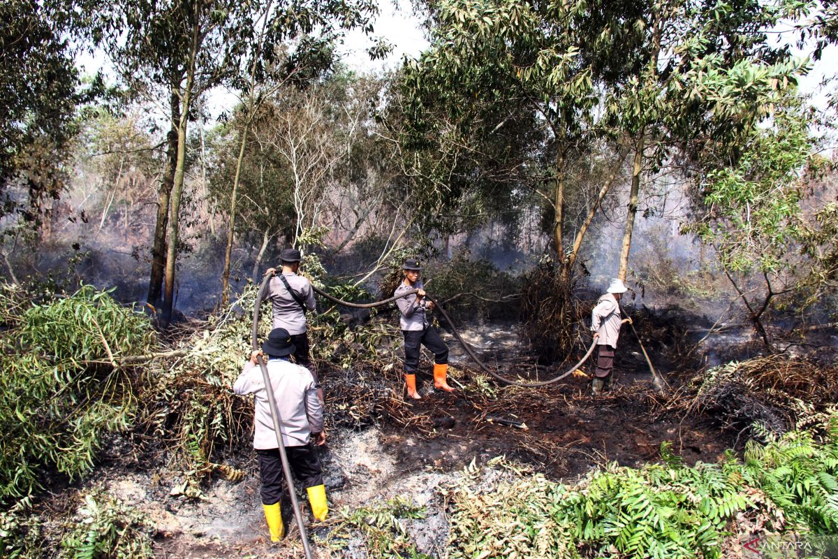 Polisi ringkus empat pelaku pembakaran lahan dalam 3 bulan