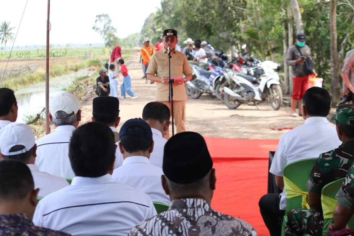 Menteri Pertanian apresiasi kinerja sektor pertanian Banyuasin