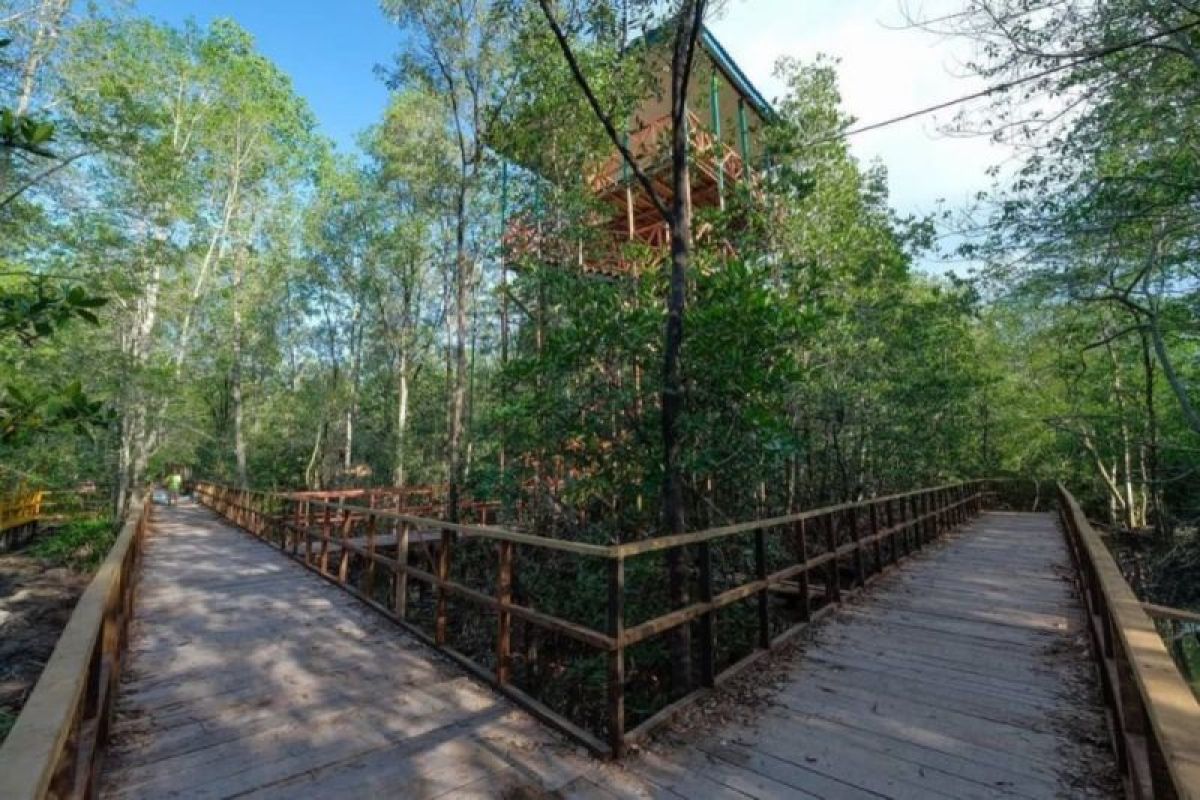 Bupati Tanjabbar minta Pemerintah Pusat anggarkan DAK untuk ekowisata mangrove