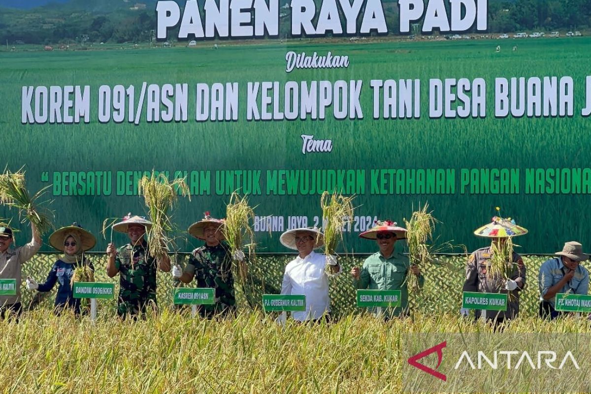 Gubernur Kaltim: Panen raya di Kukar penuhi ketahanan pangan