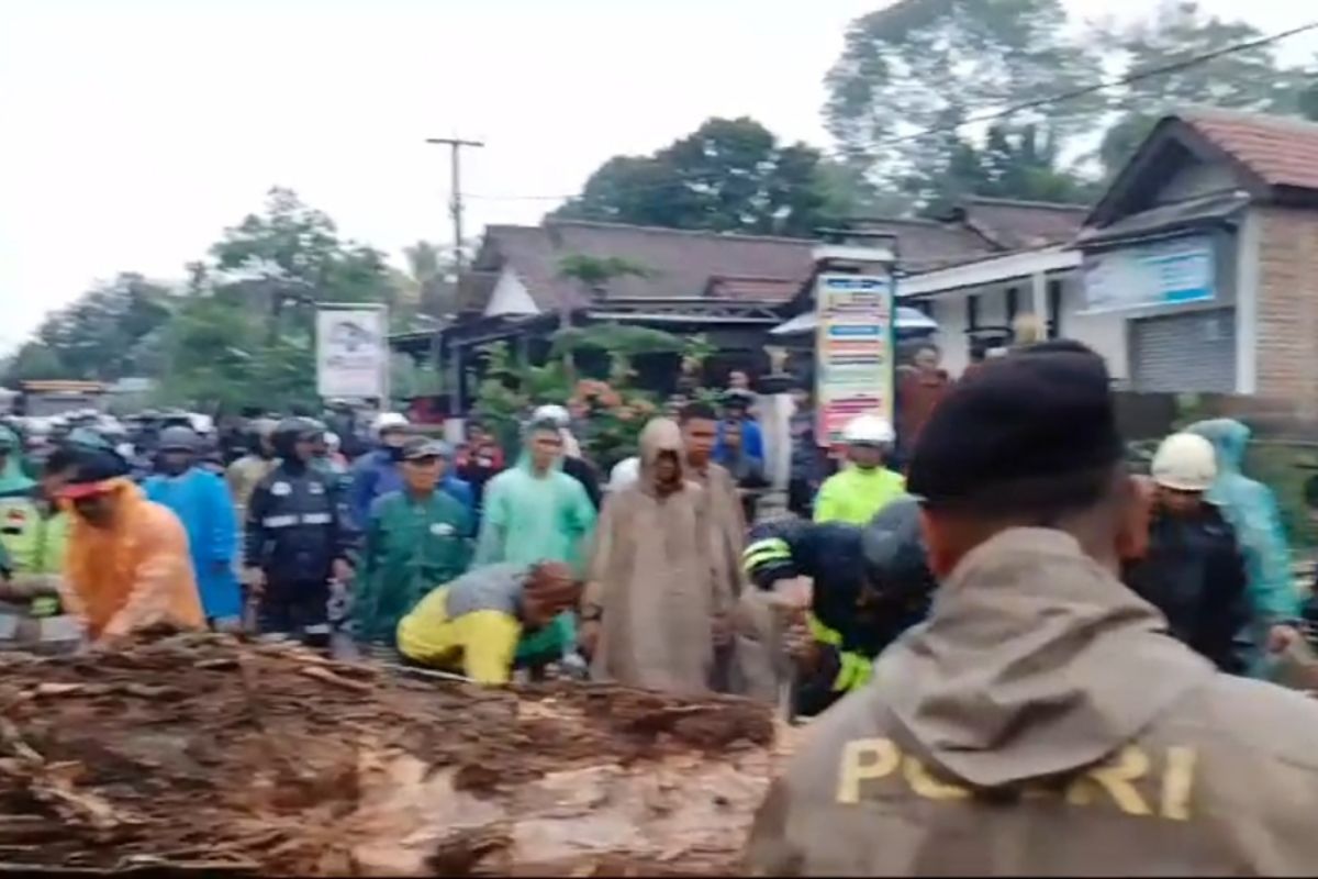 Petugas evakuasi pohon tumbang yang menutup jalan Garut-Tasikmalaya