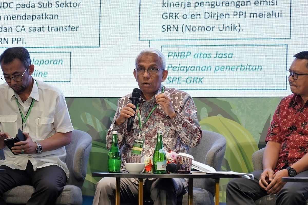 Tindak Pelanggaran Perdagangan Karbon Hutan, Demi Jaga Tata Kelola yang Baik