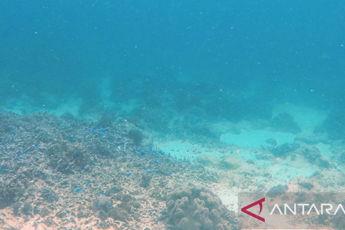 Tim SAR Ambon lakukan cari satu warga dilaporkan hilang di  Pantai Pintu Kota